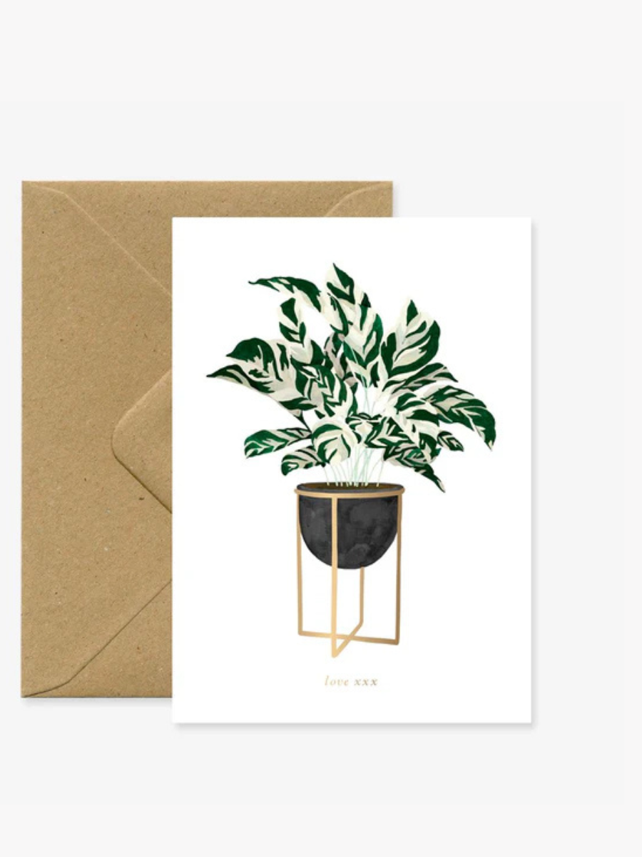 Calathea Plant - A6 Card